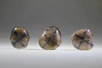 Chiastholiet