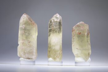 Pink fire Citrien uit Tocantins, Brazilië - Afbeelding 3