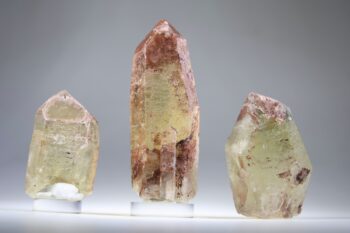 Pink fire Citrien uit Tocantins, Brazilië - Afbeelding 4