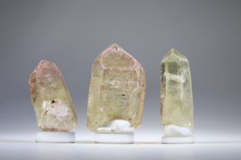 Pink fire Citrien uit Tocantins, Brazilië