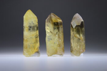 Citrien Lemurian