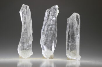 Code Keeper of Freedom 2.0 / Root of Lemurian