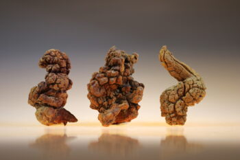 Coproliet (Uitverkocht)