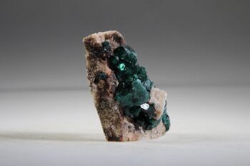 Dioptaas (de mantel van Christus), AAA-kwaliteit - Afbeelding 4