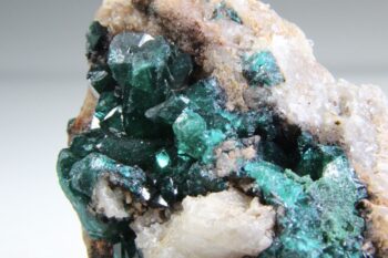 Dioptaas (de mantel van Christus), AAA-kwaliteit - Afbeelding 2