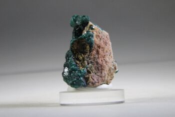 Dioptaas (de mantel van Christus), AAA-kwaliteit - Afbeelding 3