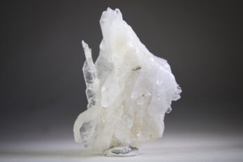 Fadenkwarts - Afbeelding 7