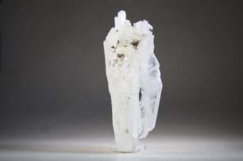 Fadenkwarts - Afbeelding 3