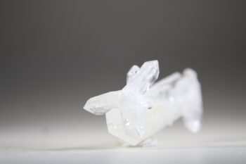 Fadenkwarts - Afbeelding 3