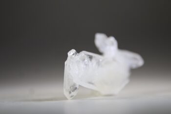 Fadenkwarts - Afbeelding 4