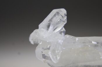 Fadenkwarts - Afbeelding 5