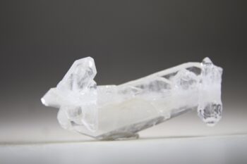 Fadenkwarts - Afbeelding 6