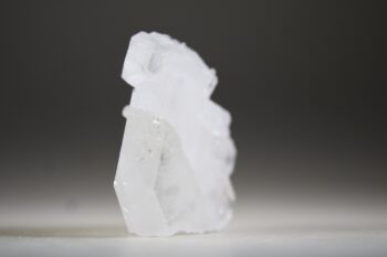 Fadenkwarts - Afbeelding 3