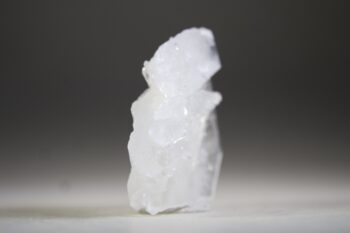 Fadenkwarts - Afbeelding 4