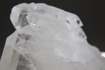 Fadenkwarts - Afbeelding 5