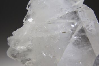 Fadenkwarts - Afbeelding 2