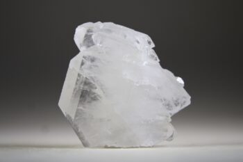 Fadenkwarts - Afbeelding 6