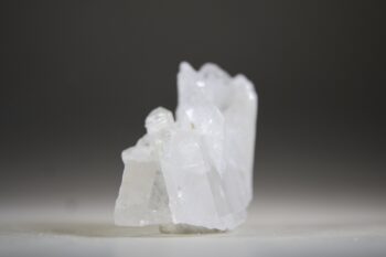 Fadenkwarts - Afbeelding 4