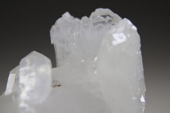 Fadenkwarts - Afbeelding 5