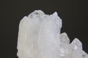 Fadenkwarts - Afbeelding 2