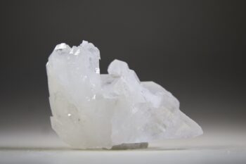 Fadenkwarts - Afbeelding 6