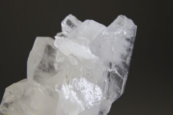 Fadenkwarts - Afbeelding 5