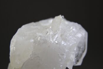 Fadenkwarts - Afbeelding 2