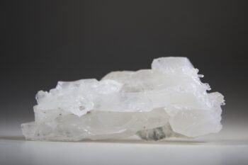 Fadenkwarts - Afbeelding 6