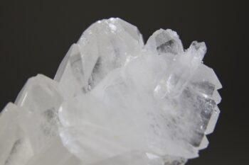 Fadenkwarts - Afbeelding 5