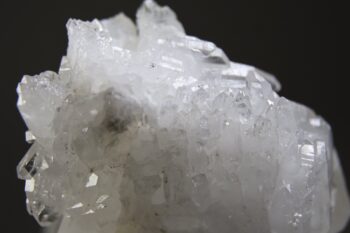 Fadenkwarts - Afbeelding 2