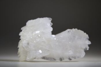 Fadenkwarts - Afbeelding 6