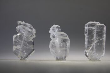 Fadenkwarts - Afbeelding 6