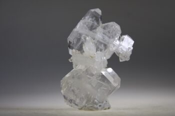 Fadenkwarts - Afbeelding 7