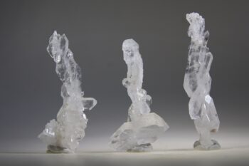 Fadenkwarts - Afbeelding 8