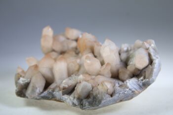 Flamingo Kaarskwarts (Agni, heilig vuur)