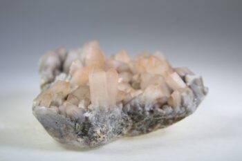 Flamingo Kaarskwarts (Agni, heilig vuur) - Afbeelding 4