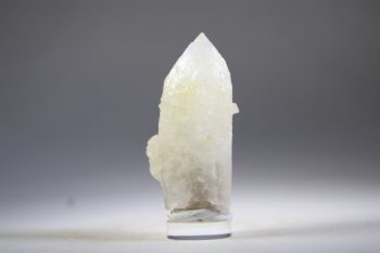 Golden Healer Kaarskwarts uit Goiás, Brazilië (Expand) - Afbeelding 3