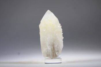 Golden Healer Kaarskwarts uit Goiás, Brazilië (Expand) - Afbeelding 4