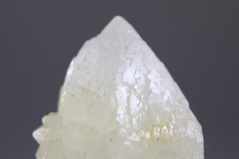 Golden Healer Kaarskwarts uit Goiás, Brazilië (Expand) - Afbeelding 2