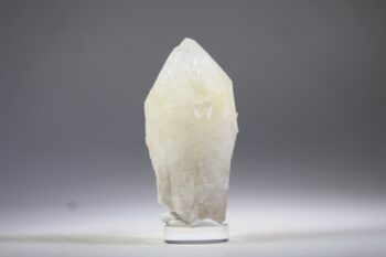 Golden Healer Kaarskwarts uit Goiás, Brazilië (Expand) - Afbeelding 6