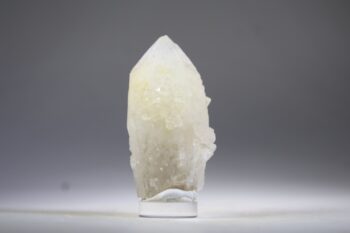 Golden Healer Kaarskwarts uit Goiás, Brazilië (Expand)