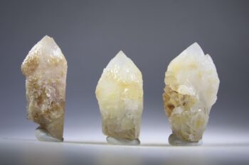 Golden Healer Kaarskwarts uit Goiás, Brazilië (Expand) - Afbeelding 3