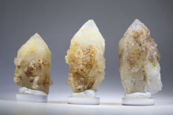 Golden Healer Kaarskwarts uit Goiás, Brazilië (Expand)