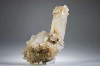 Golden Healer Lemurian - Afbeelding 10