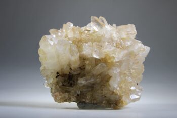 Golden Healer Lemurian - Afbeelding 9