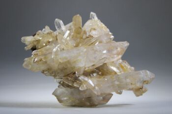 Golden Healer Lemurian - Afbeelding 7