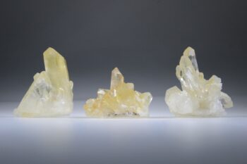 Golden Healer Lemurian - Afbeelding 6