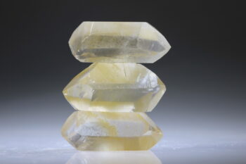 Self healer(zelfhelend), floater en dubbeleinder - Afbeelding 3