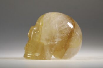 Golden healer skull - Afbeelding 4