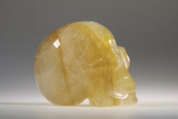 Golden healer skull - Afbeelding 2